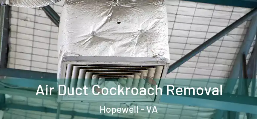 Air Duct Cockroach Removal Hopewell - VA
