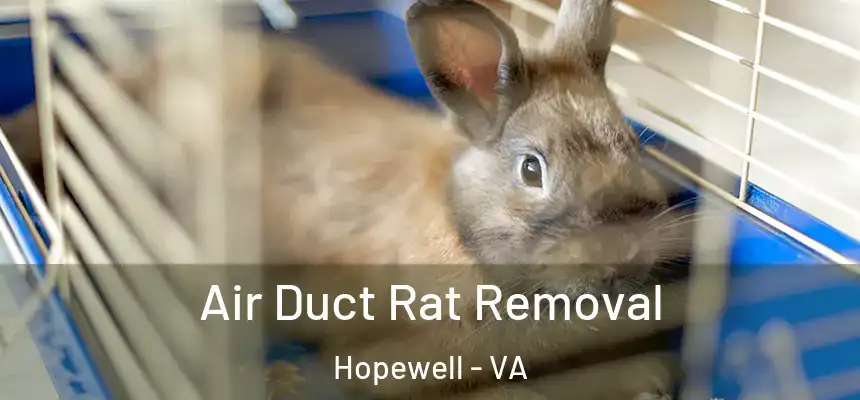 Air Duct Rat Removal Hopewell - VA