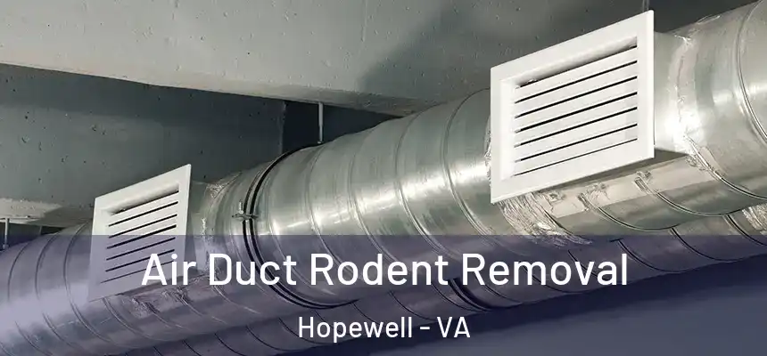 Air Duct Rodent Removal Hopewell - VA