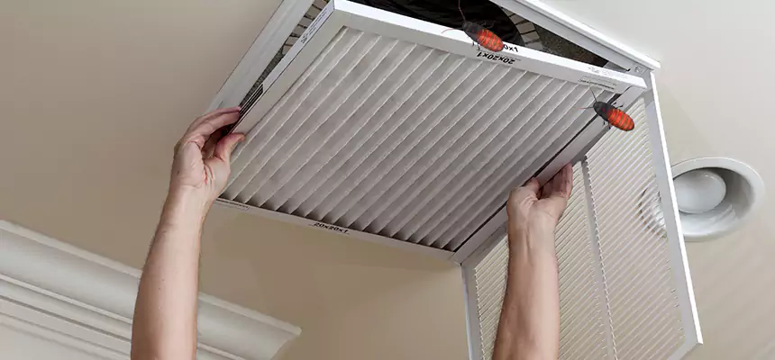 Preventive Cockroach-Proofing for Ducts in Hopewell