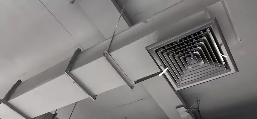 Our Rodent Droppings In Vents Services in Hopewell, VA