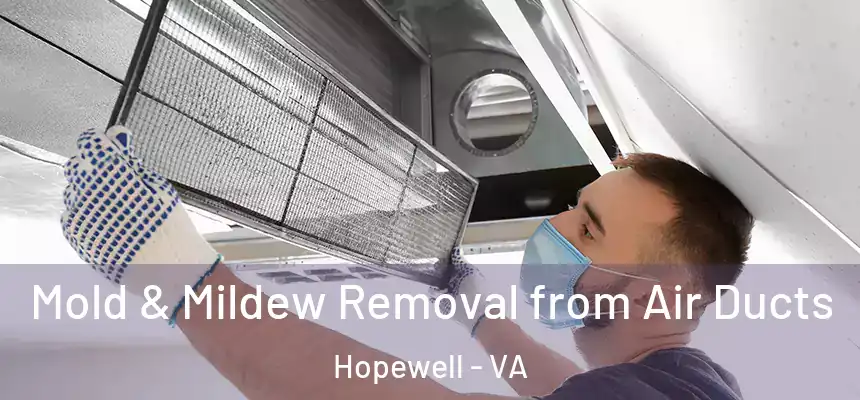 Mold & Mildew Removal from Air Ducts Hopewell - VA