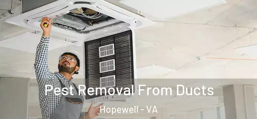 Pest Removal From Ducts Hopewell - VA