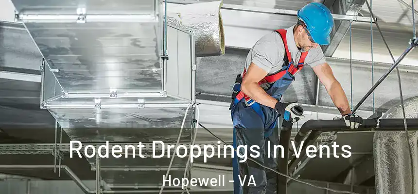 Rodent Droppings In Vents Hopewell - VA
