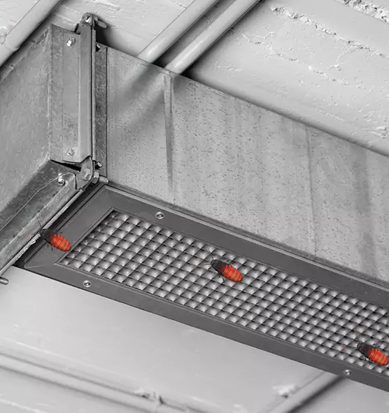 About Air Duct Cockroach Removal in Hopewell, VA
