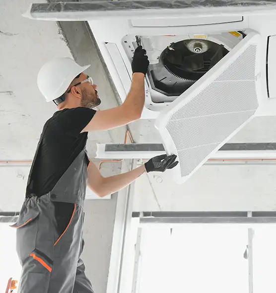 About Air Duct Rodent Removal in Hopewell, VA