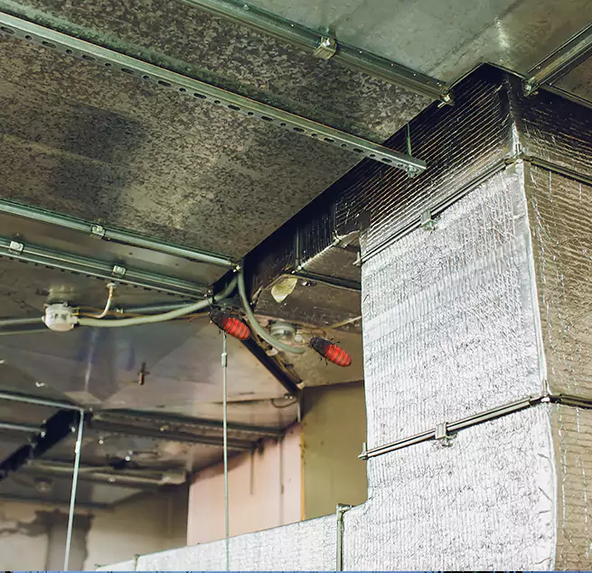 Why Homeowners & Businesses Trust Us in Hopewell, VA?