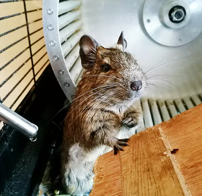 Why Homeowners & Businesses Trust Us Hopewell, VA